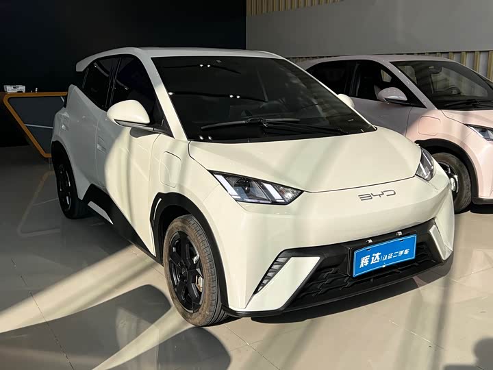 Фото 3 - BYD Seagull