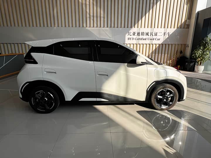 Фото 4 - BYD Seagull