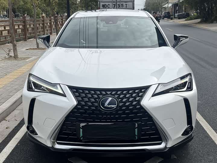 Фото 1 - Lexus UX Hybrid
