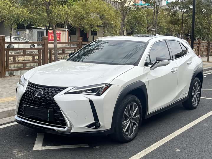Фото 3 - Lexus UX Hybrid