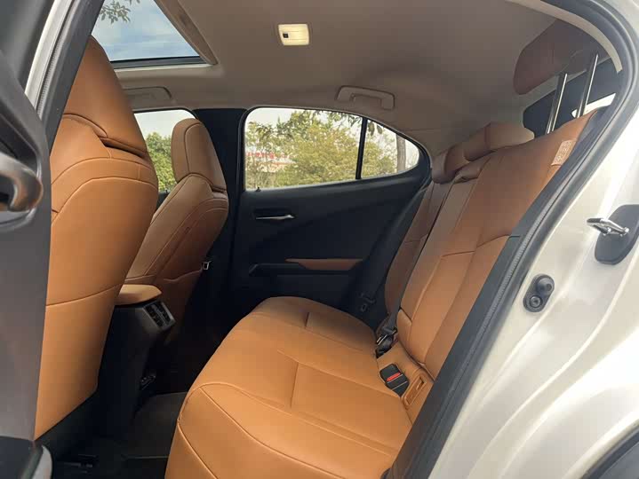 Фото 6 - Lexus UX Hybrid