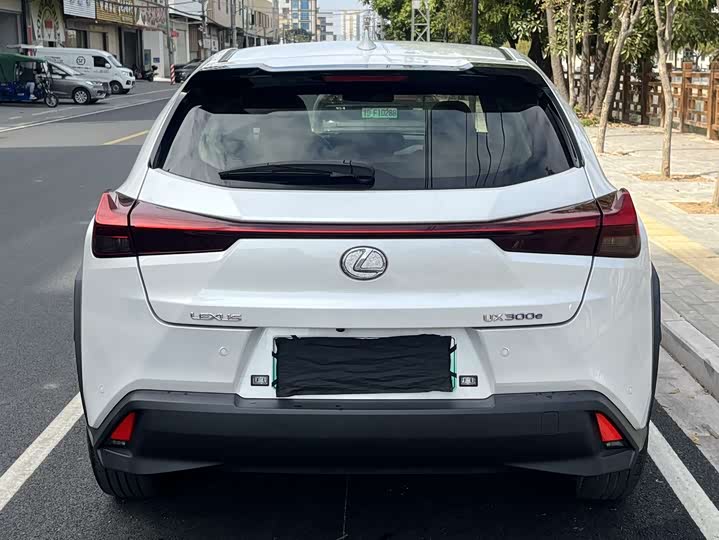 Фото 9 - Lexus UX Hybrid