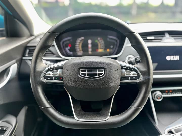 Фото 6 - Geely Binrui