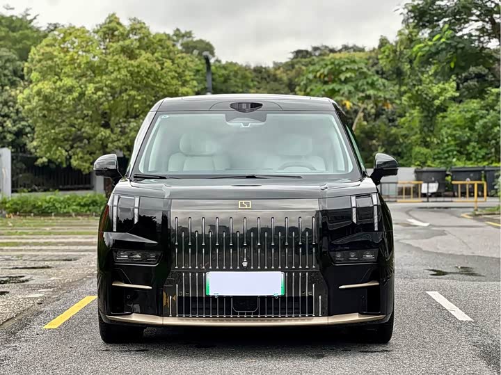 Фото 1 - Zeekr 009