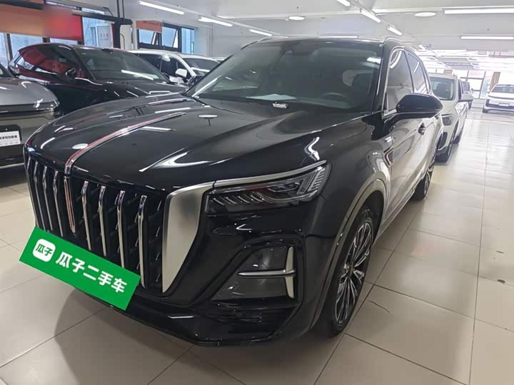 Фото 2 - Hongqi HS5