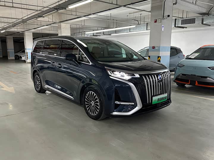 Фото 3 - Denza D9