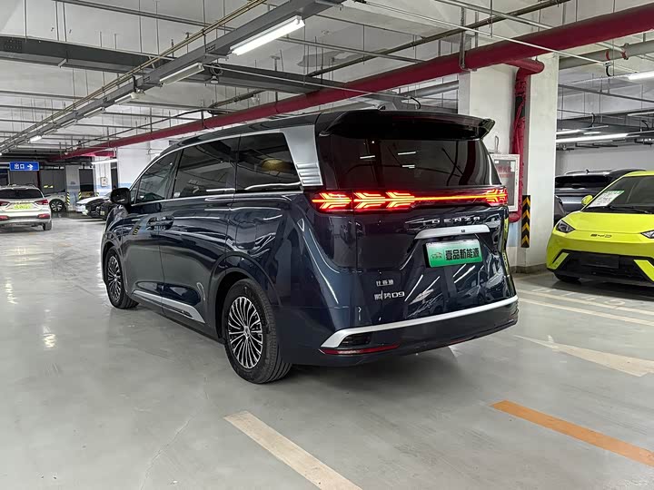 Фото 4 - Denza D9