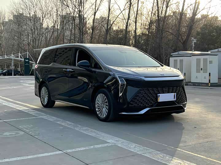 Фото 3 - Buick GL8 Century