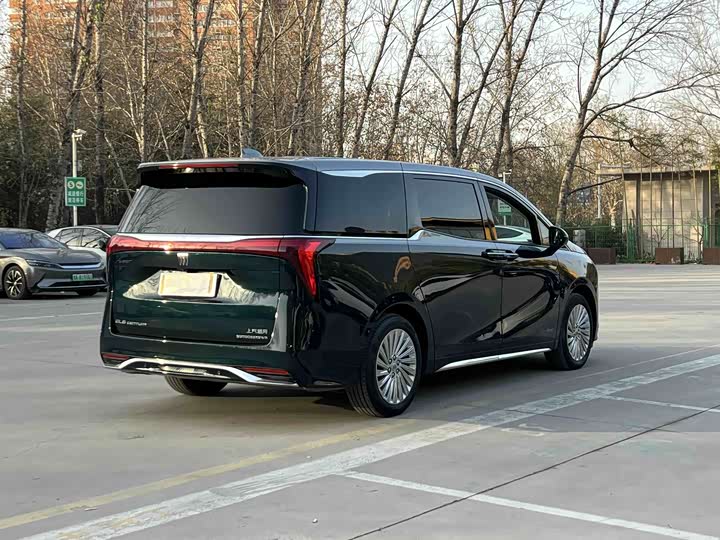 Фото 5 - Buick GL8 Century