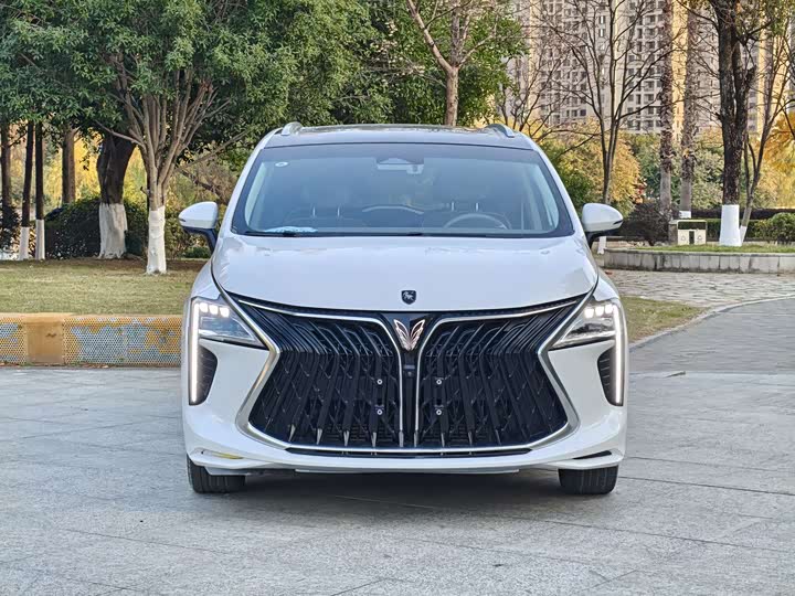 Фото 2 - Dongfeng Forthing Yacht