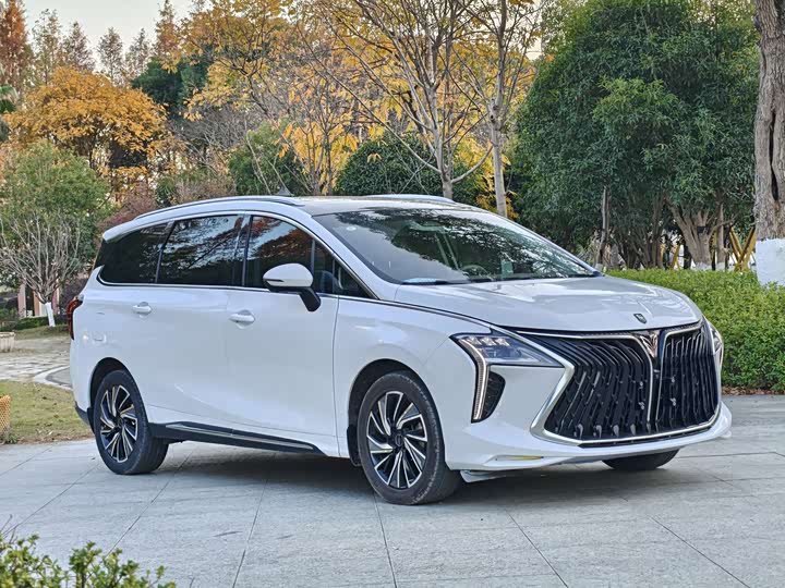 Фото 3 - Dongfeng Forthing Yacht