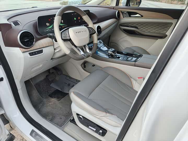 Фото 6 - Dongfeng Forthing Yacht