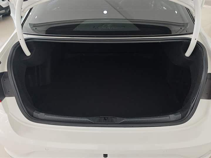 Фото 4 - Volkswagen Lamando L