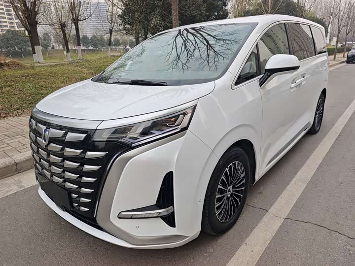 Фото 1 - Denza D9