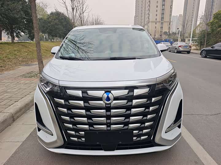 Фото 2 - Denza D9