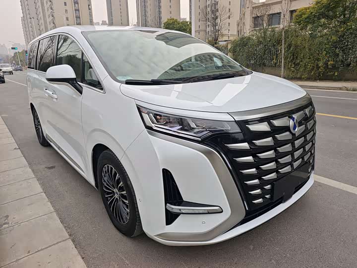 Фото 3 - Denza D9