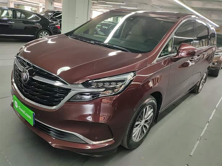 Фото 1 - Buick GL8 ES