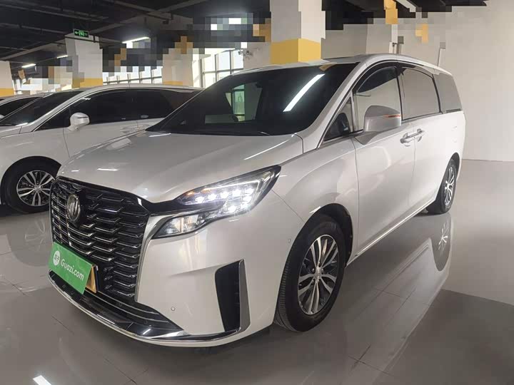 Фото 5 - Buick GL8 ES