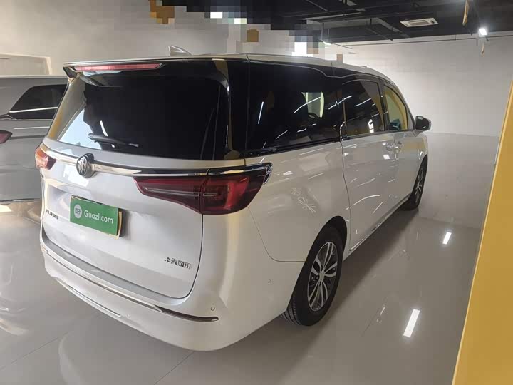 Фото 7 - Buick GL8 ES