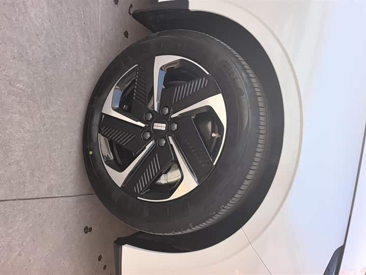 Фото 6 - Geely Galaxy L6