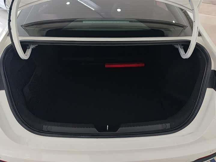 Фото 4 - GAC Trumpchi Empow R