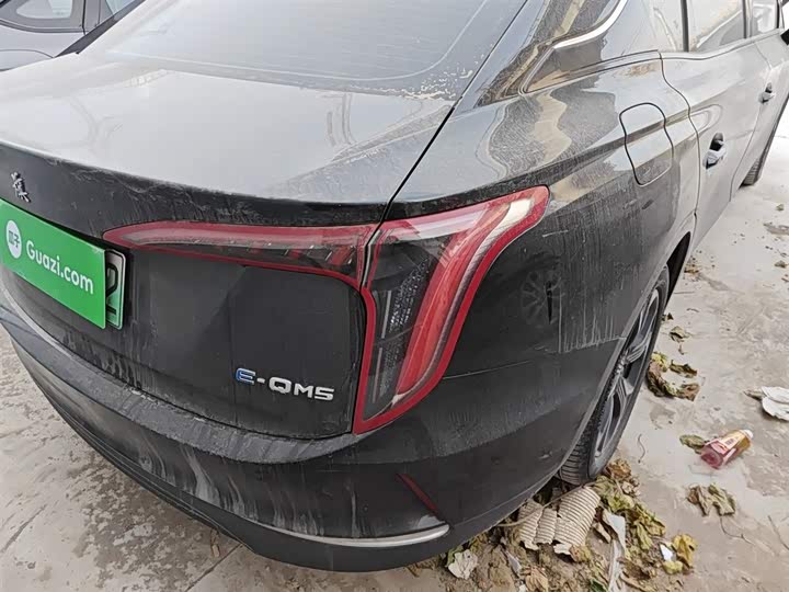 Фото 8 - Hongqi E-QM5