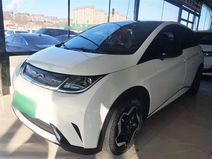 Фото 1 - BYD Dolphin