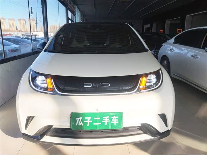 Фото 3 - BYD Dolphin