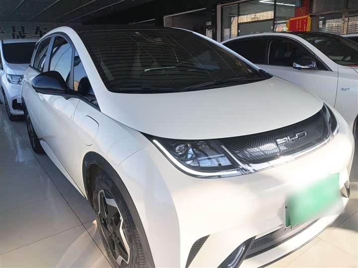 Фото 4 - BYD Dolphin