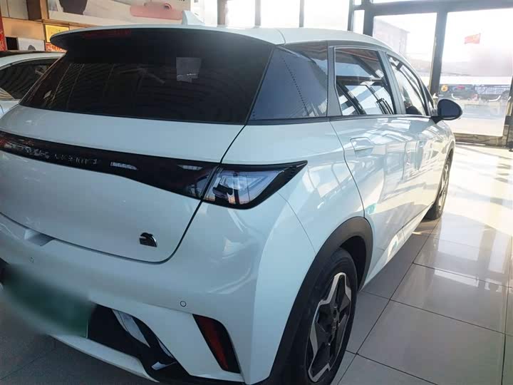 Фото 7 - BYD Dolphin