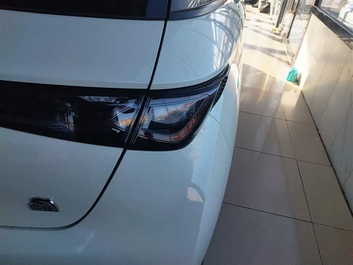 Фото 8 - BYD Dolphin