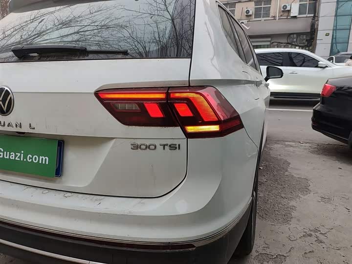 Фото 8 - Volkswagen Tiguan L Pro