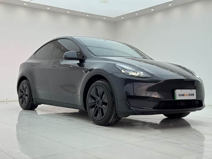 Фото 3 - Tesla Model Y
