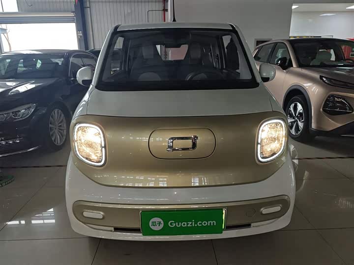 Фото 3 - Bestune Pony