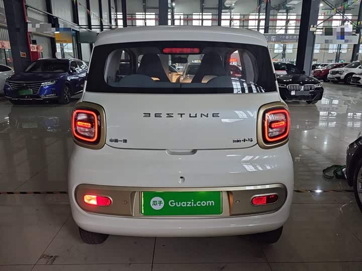 Фото 6 - Bestune Pony