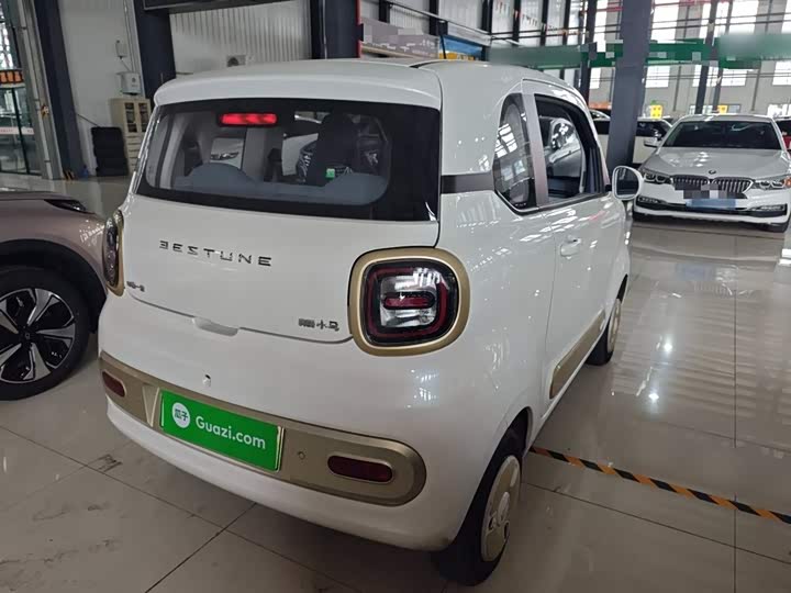 Фото 7 - Bestune Pony