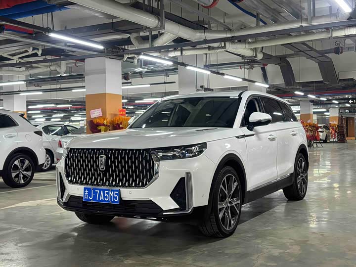 Фото 1 - Bestune T99