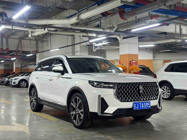 Фото 3 - Bestune T99