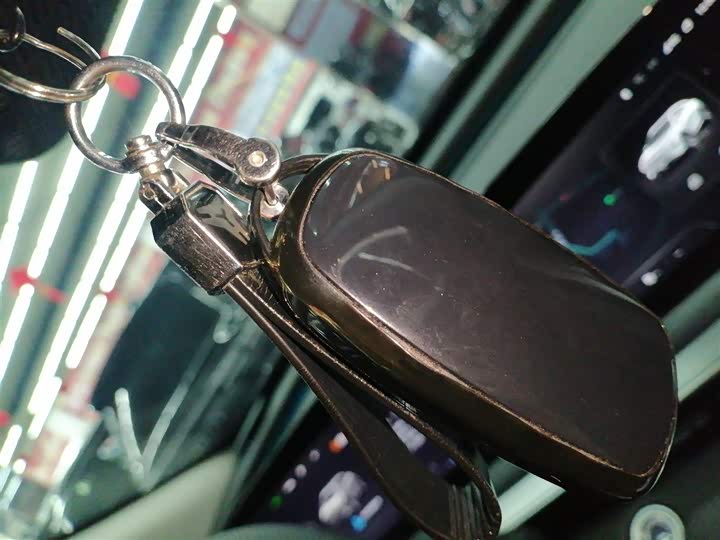 Фото 9 - Exeed RX