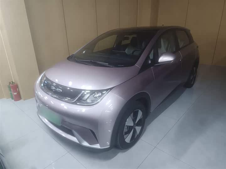 Фото 2 - BYD Dolphin