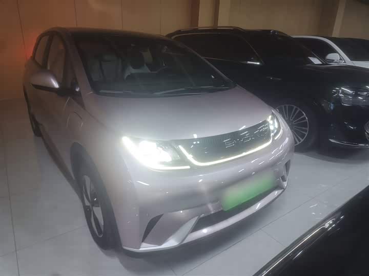 Фото 3 - BYD Dolphin