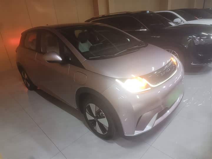 Фото 4 - BYD Dolphin