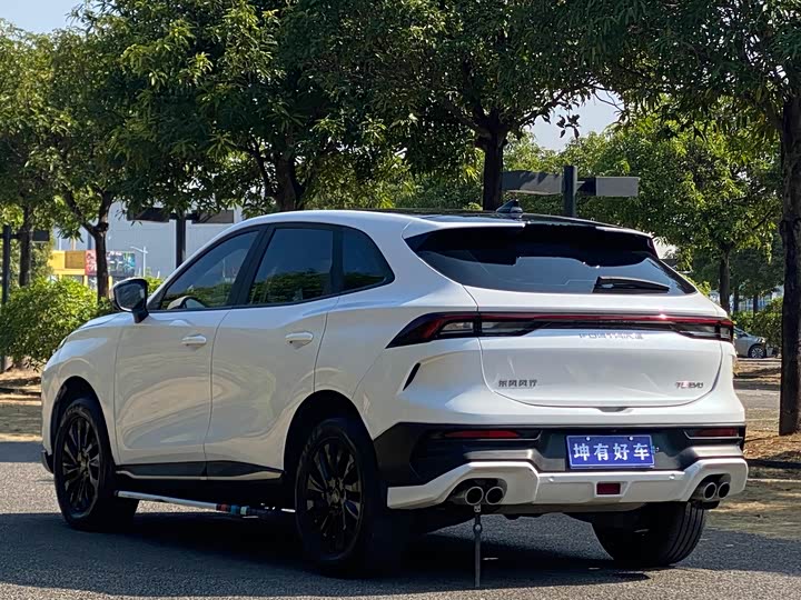 Фото 4 - Dongfeng Forthing T5 EVO