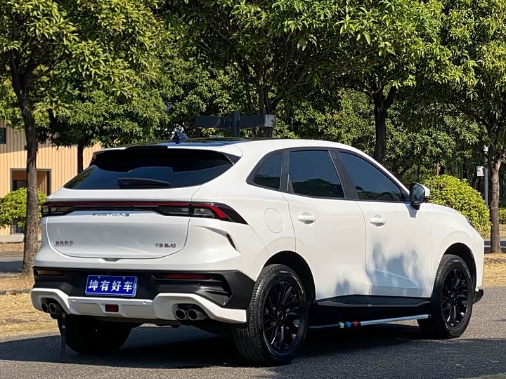 Фото 6 - Dongfeng Forthing T5 EVO