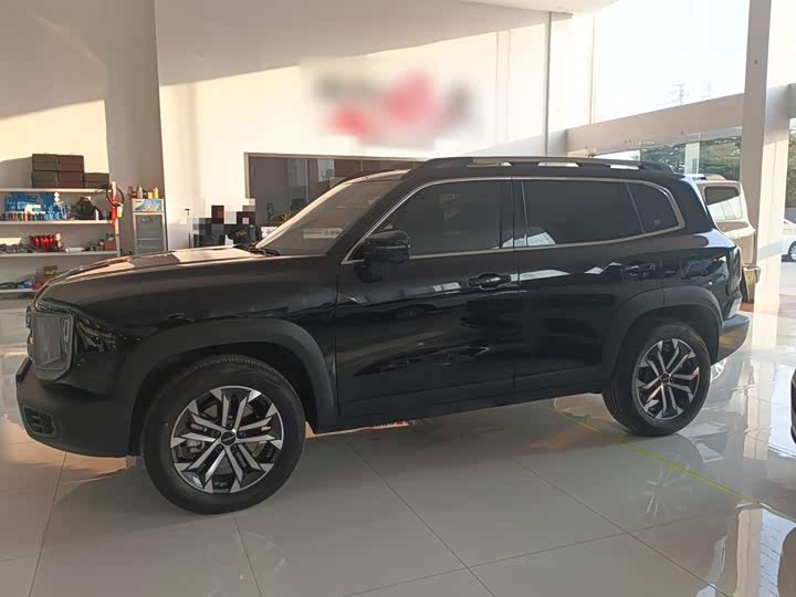 Фото 5 - Haval Dargo