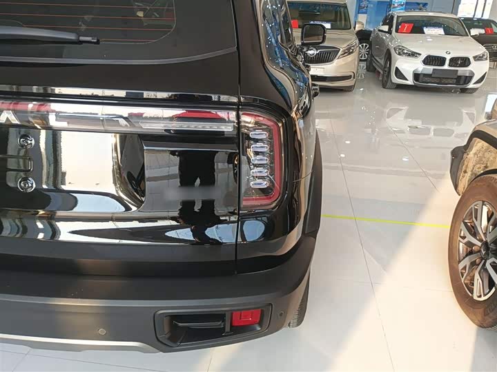 Фото 8 - Haval Dargo