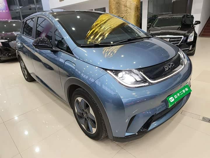 Фото 4 - BYD Dolphin