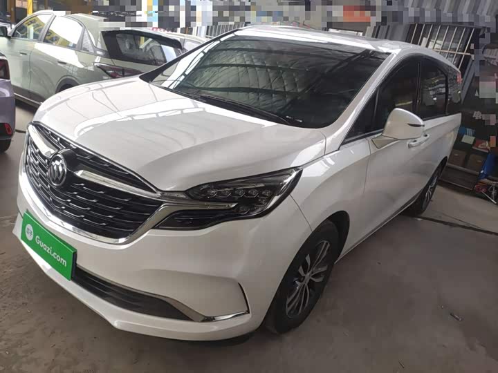 Фото 1 - Buick GL8 ES