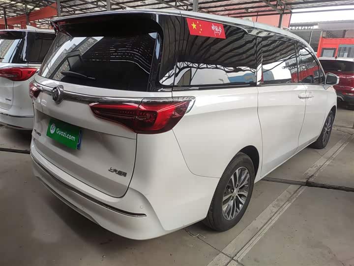 Фото 7 - Buick GL8 ES