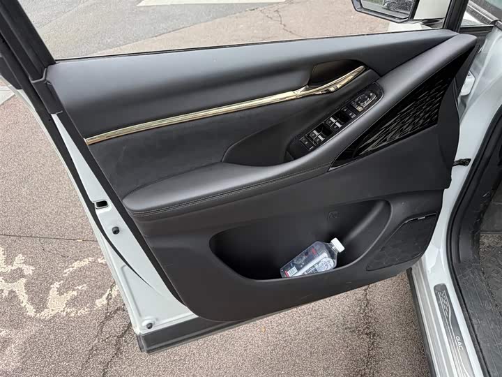 Фото 6 - GAC Trumpchi E9